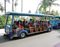 Open Coaches/Trailers